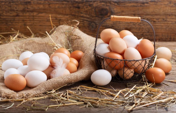 local produce and farm fresh eggs